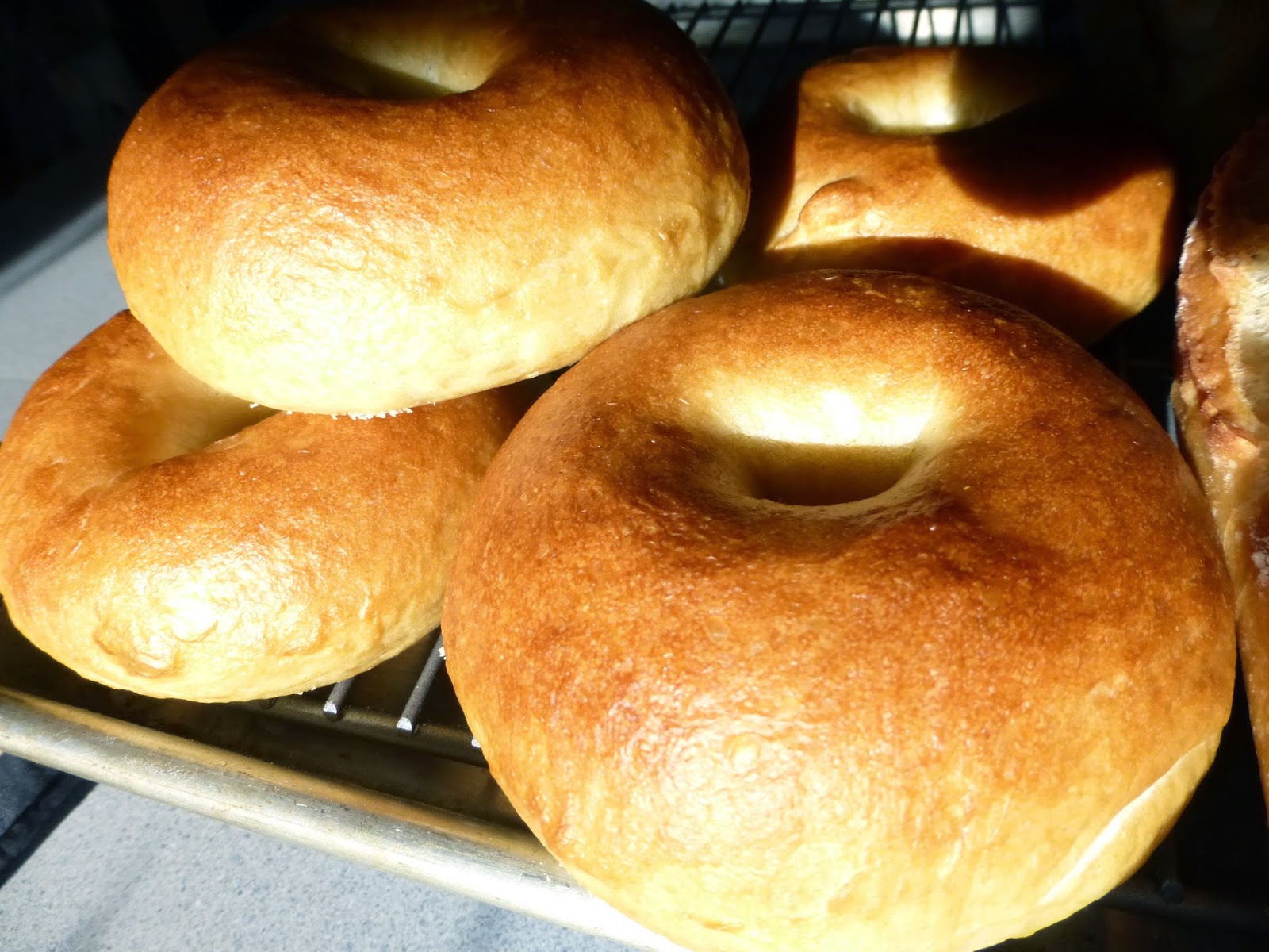 Daily happiness Bagels Recipe by Peter Reinhart