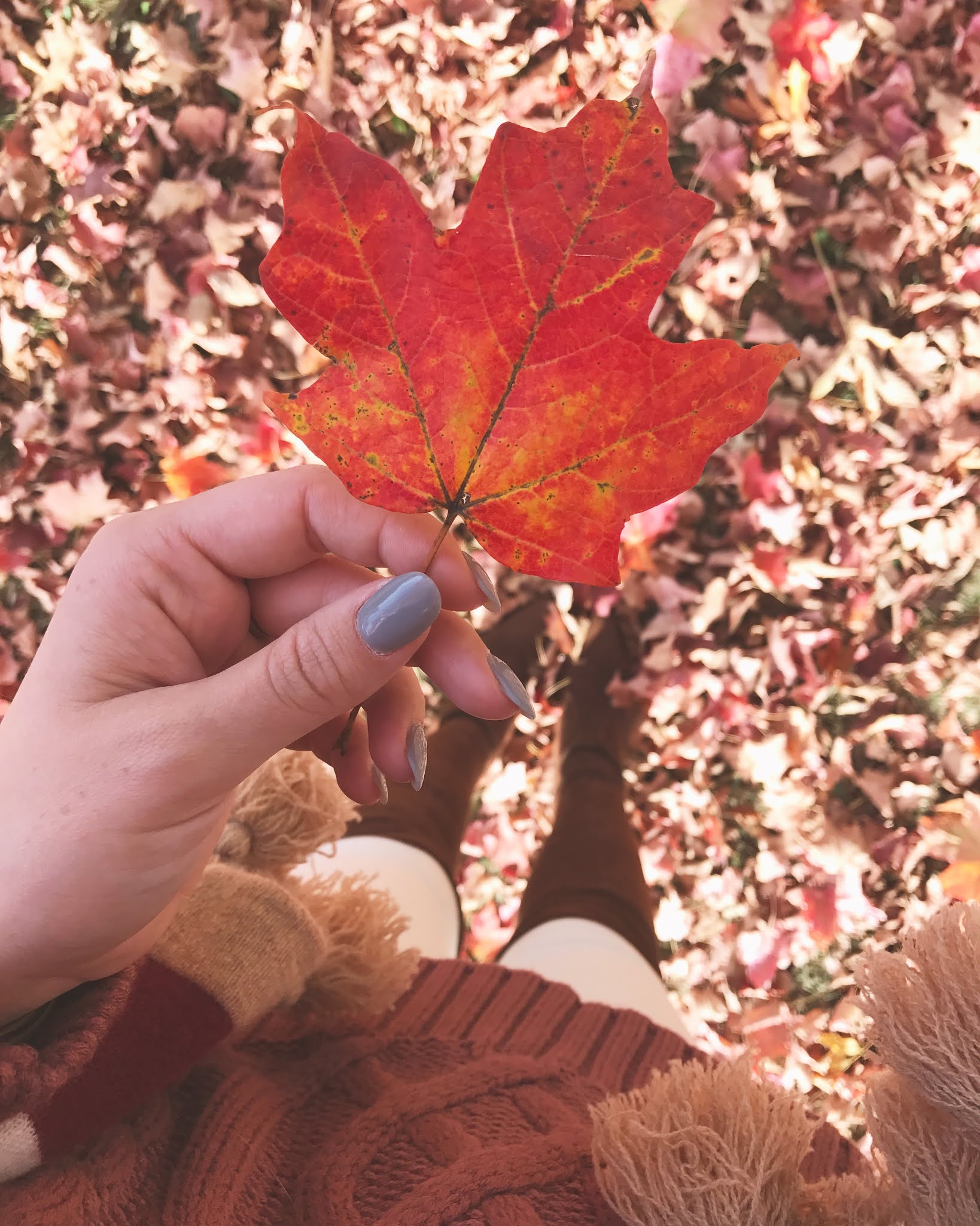 Weekend Update October 23 Connecticut Fashion and Lifestyle Blog