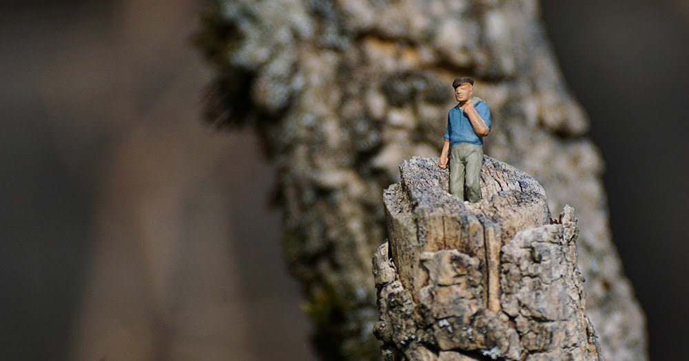 Camping Georgshof In Wintrich An Der Mosel Reiseberichte Rheinland Pfalz Wohnwagen Forum De