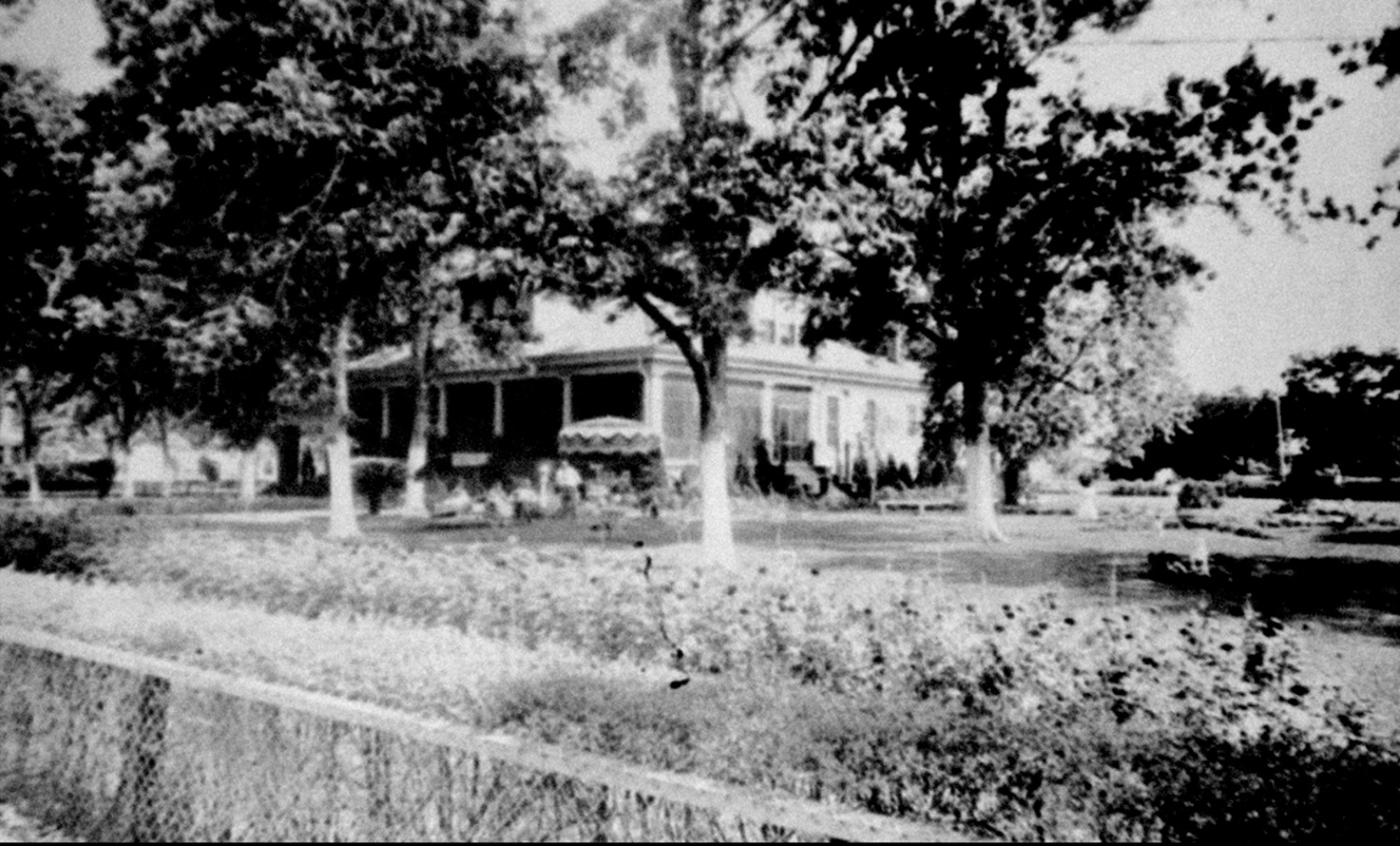 Tammany Family The Fritz Salmen Family Hosts a Wedding