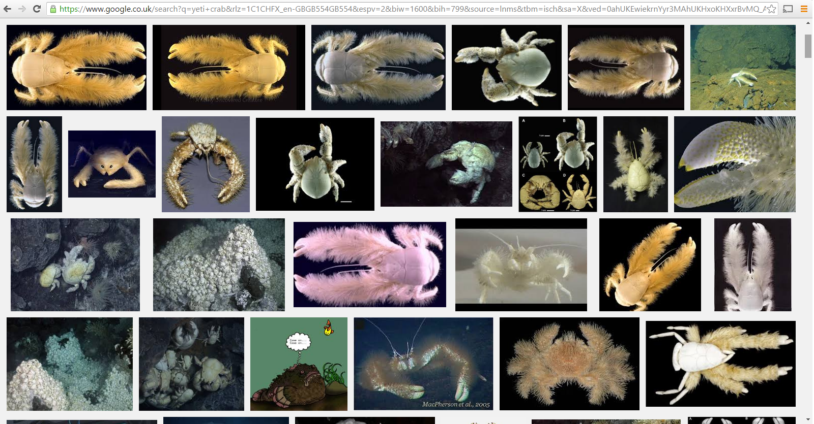 Pat Bastard and the Spurious 5 The yeti crab looks made up, but isn't.