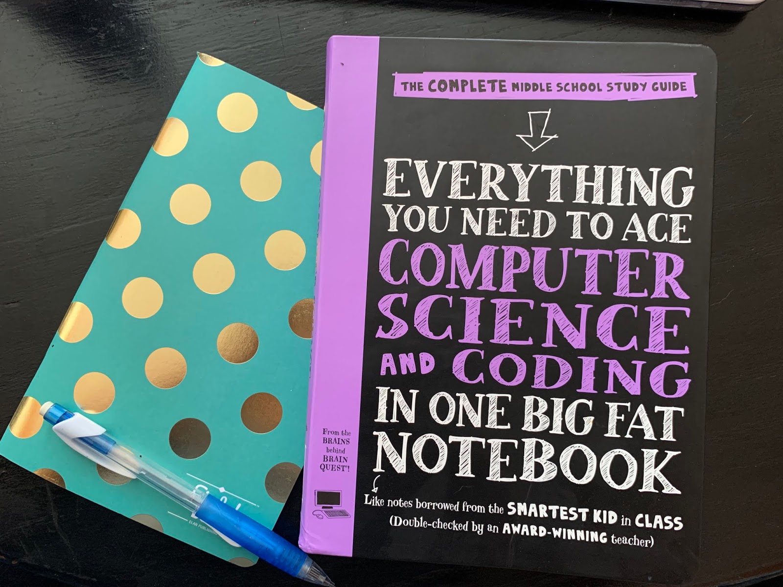 A Stable Beginning: Everything You Need to Ace Computer Science and ...