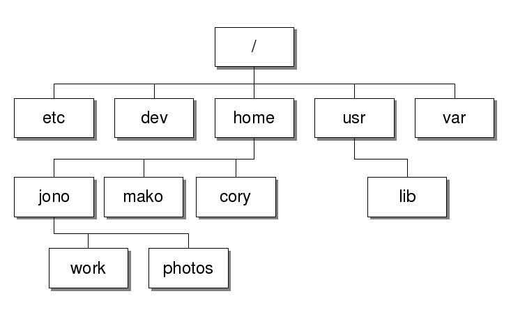 Insights and strategies for dba linux directory structure