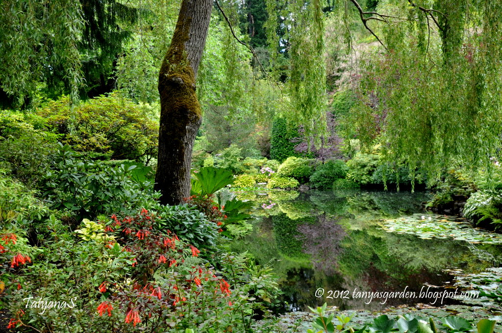 MySecretGarden Garden Tapestry. Six Pictures of the Butchart Gardens