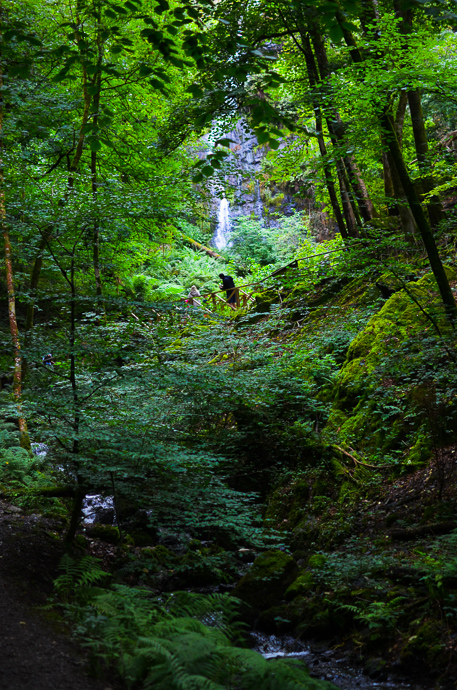 Canonteign falls, Days out in devon