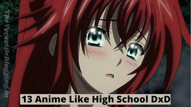 13 Best Anime Like High School DxD [Recommendations]
