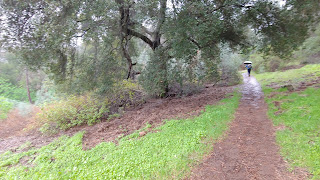 Eagle Peak trail