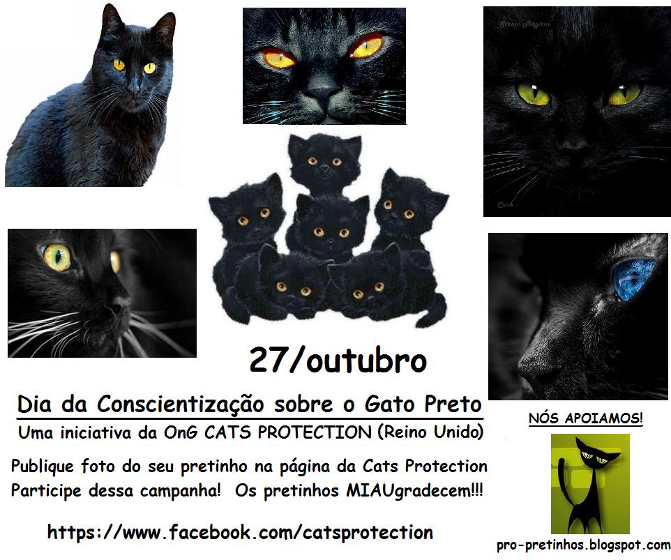 DALVA DAY * 2016 Dia do Gato Preto