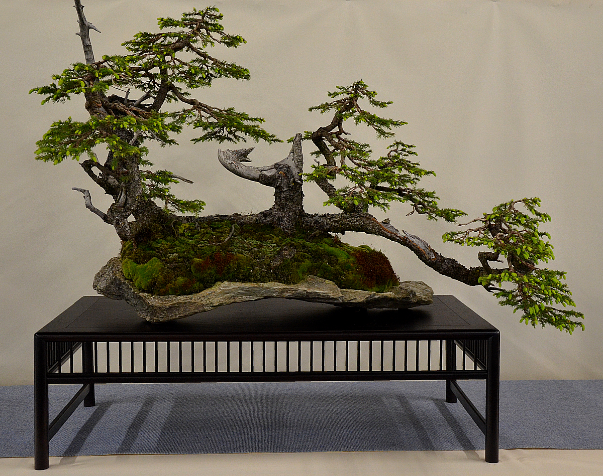 Bonsai Living Art International Bonsai and Kusamono Exhibition