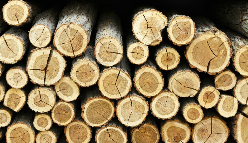 Sick? Get Rid of the Wood.