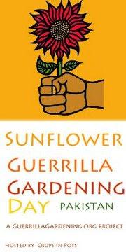 Pakistan's First Sunflower Guerrilla Gardening Project