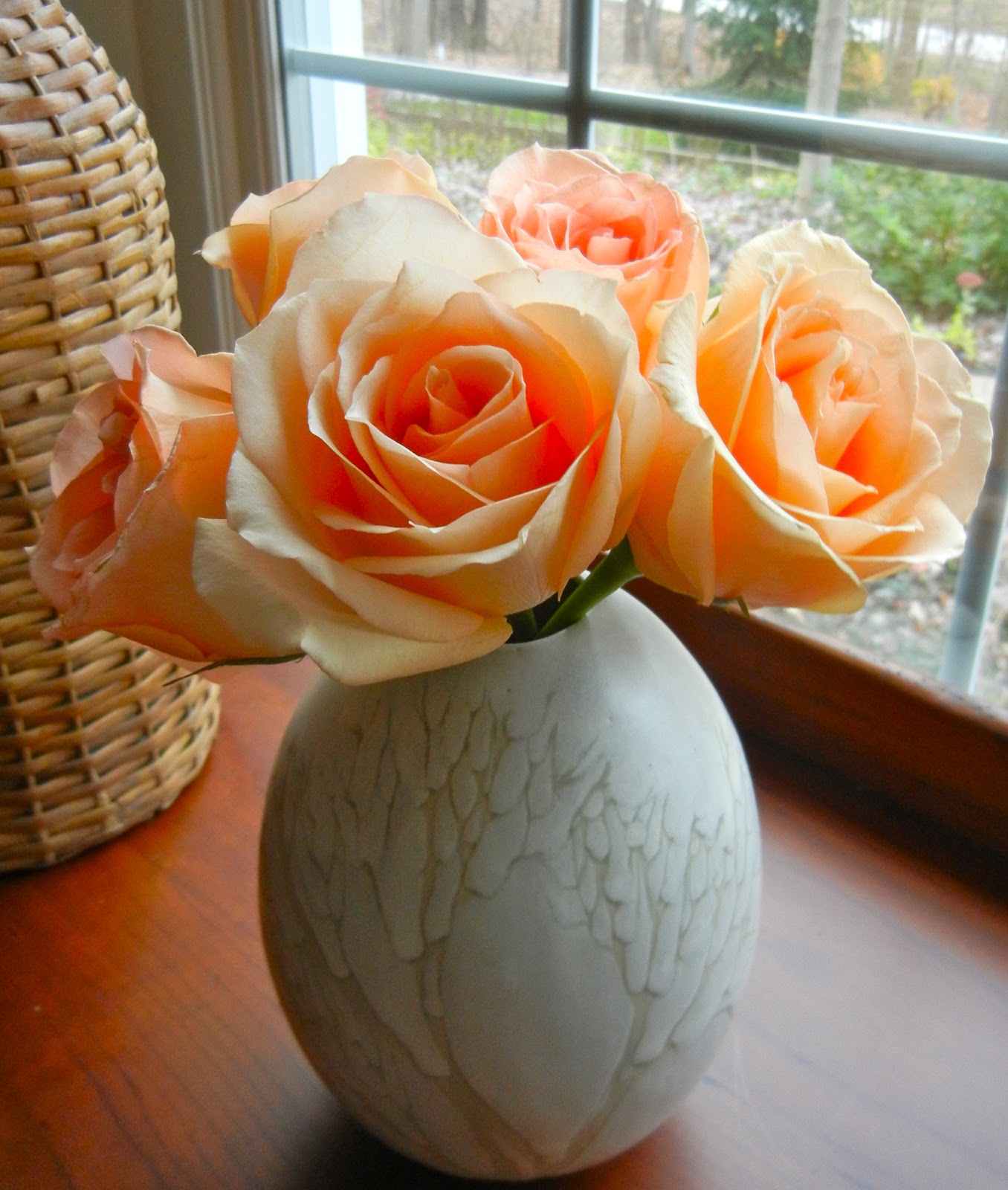 a curious gardener roses in water