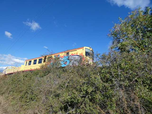 Le train jaune a failli nous surprendre au détour du chemin derrière une haie.
