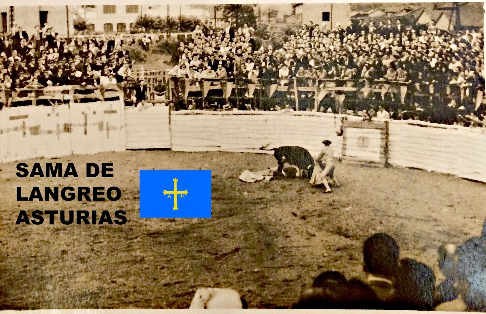 SAMA DE LANGREO TOROS