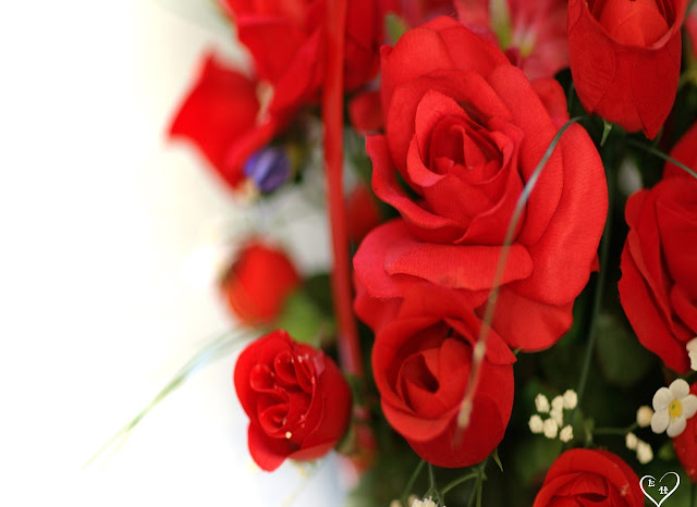 Red Roses Pictures
