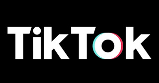 TikTok Security: How to See Who’s Using Your Account 2022 2