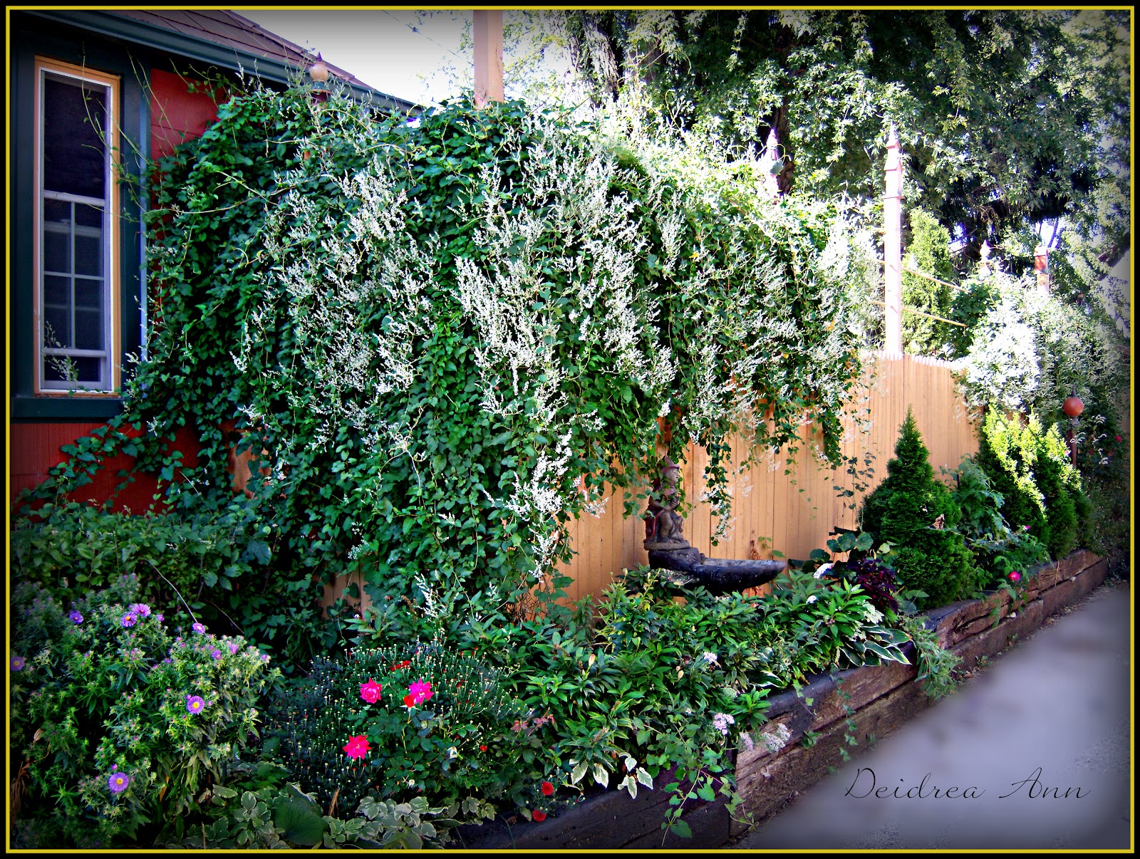 Suzy Homefaker SILVER LACE VINE