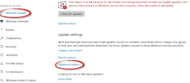 Advanced Options di Pengaturan Windows 10