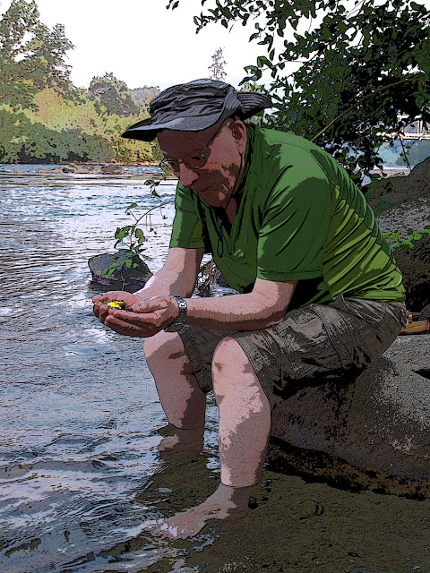 Descubriendo pepitas de oro en el American River