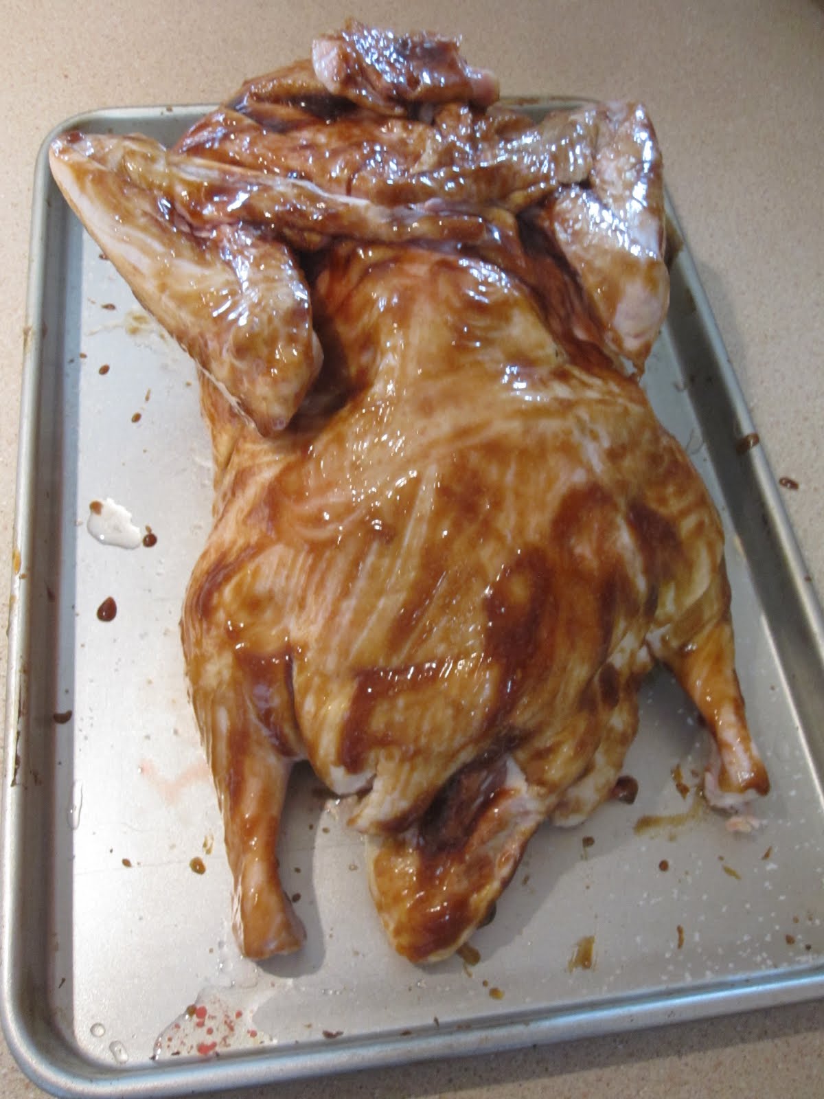 Cannundrums Infrared Cooked Muscovy Duck
