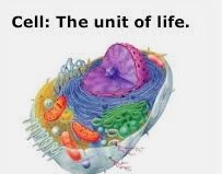 Introduction to Cell and General Characteristics of a Living Cell with ...