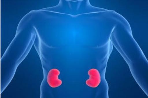 Προσοχή: Αυτά τα ροφήματα απειλούν σοβαρά την υγεία των νεφρών