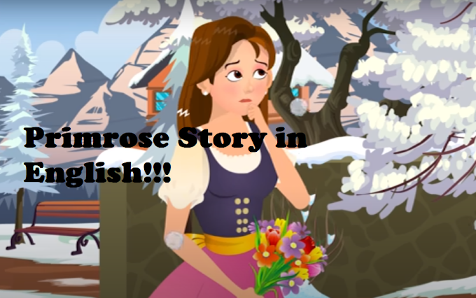 Primrose Story in English