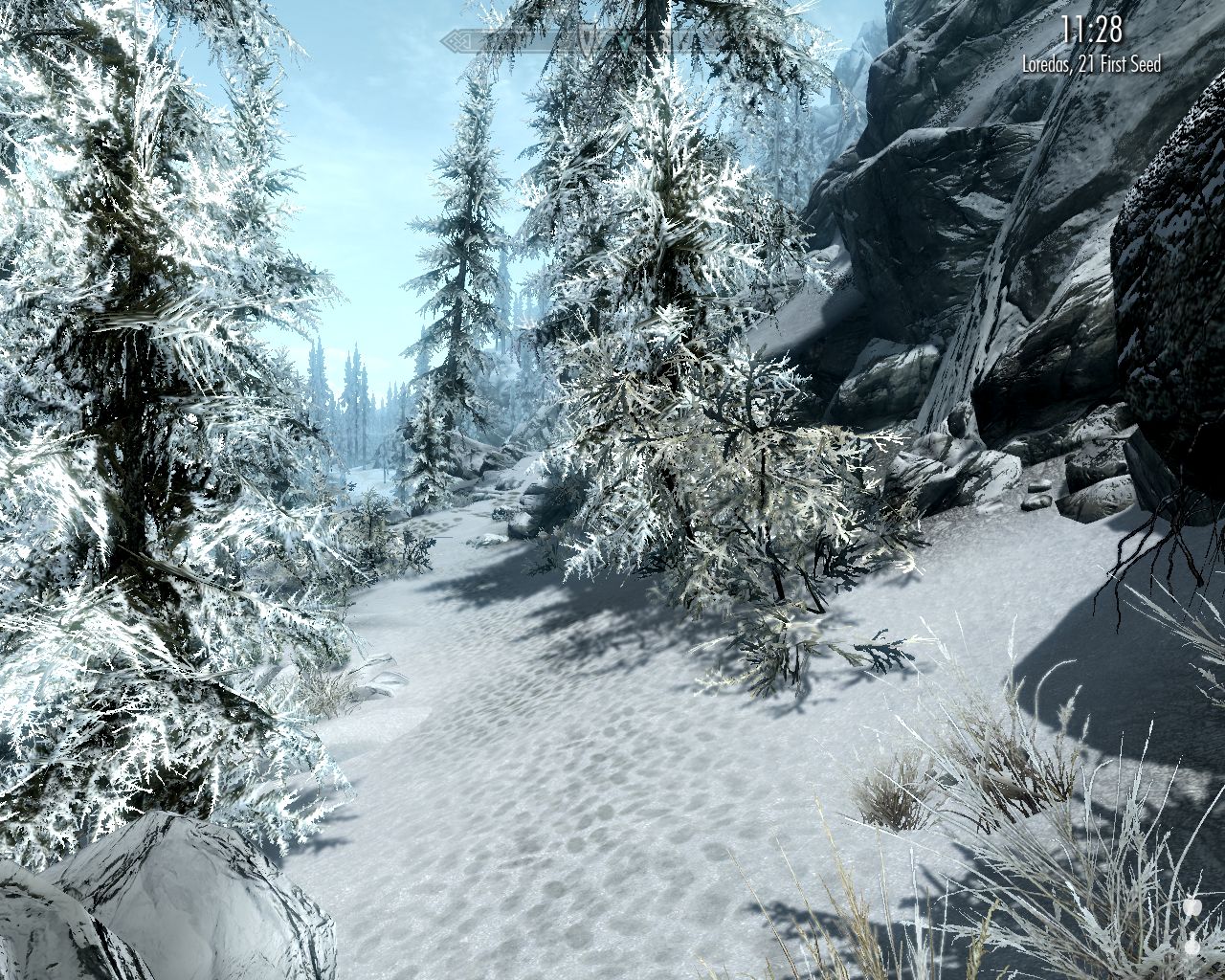path leads through a snowy spruce forest, steep rocky slope on the right, blue sky