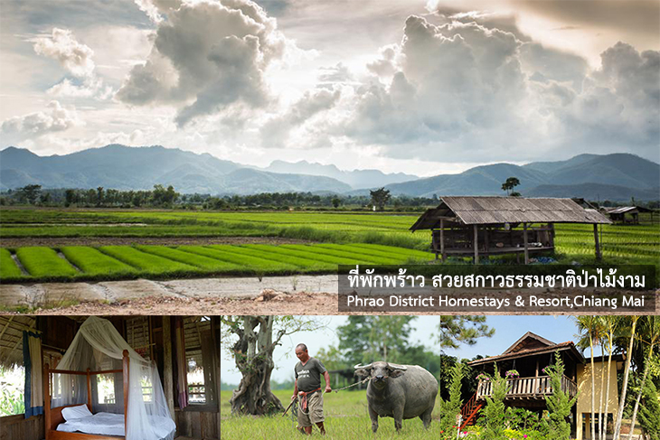 แนะนำ 11 ที่พักอำเภอพร้าว สวยสกาวธรรมชาติ งดงาม บรรยากาศดี ไม่วุ่นวาย  นอนพักสบายในวันหยุดนี้