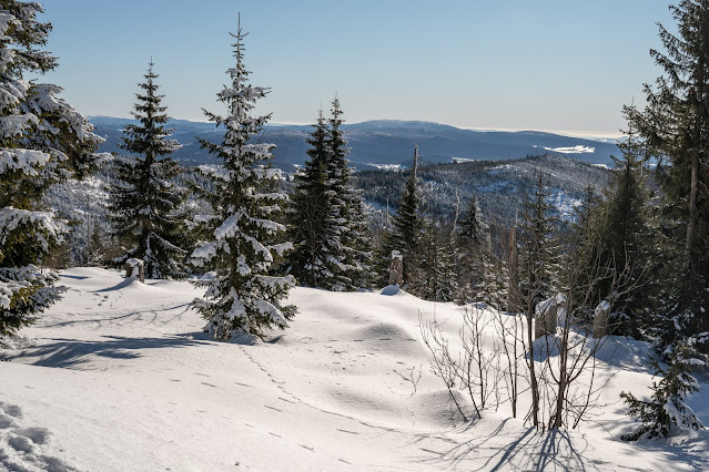 Wanderung auf den Lusen  Winterwandern im Nationalpark Bayerischer Wald 18