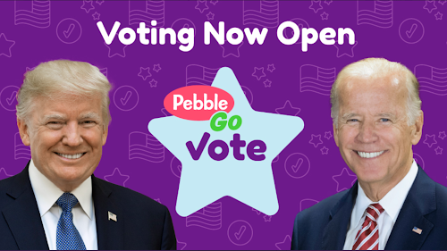The Library Voice Pebblego Vote The Perfect Place For Our Students To Have A Voice In The Presidential Election