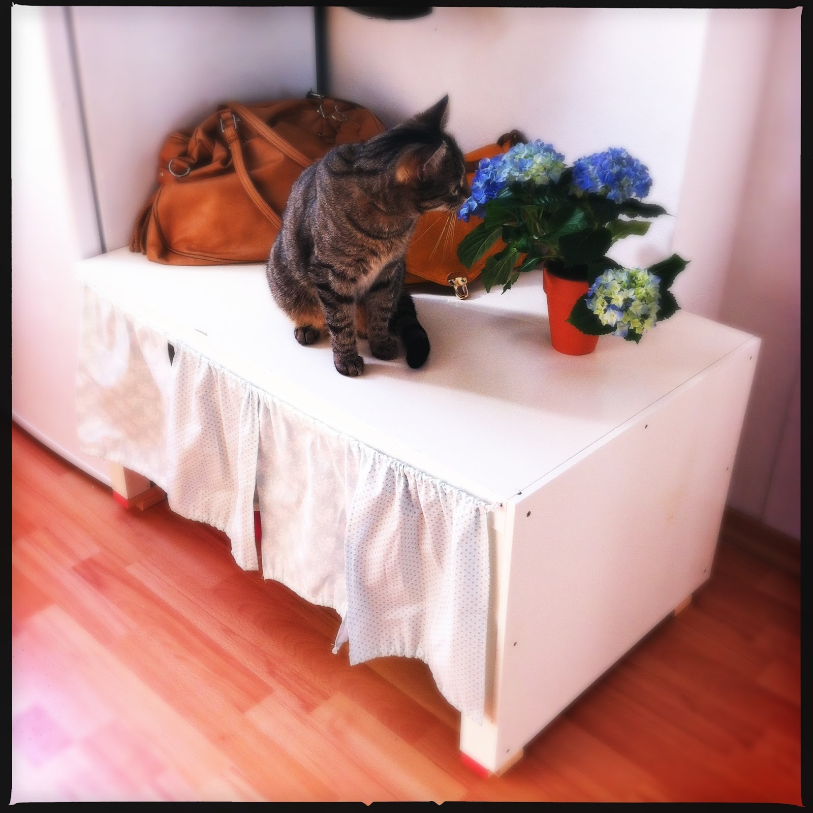 Serendipity is Life: Katzenklo Adé!