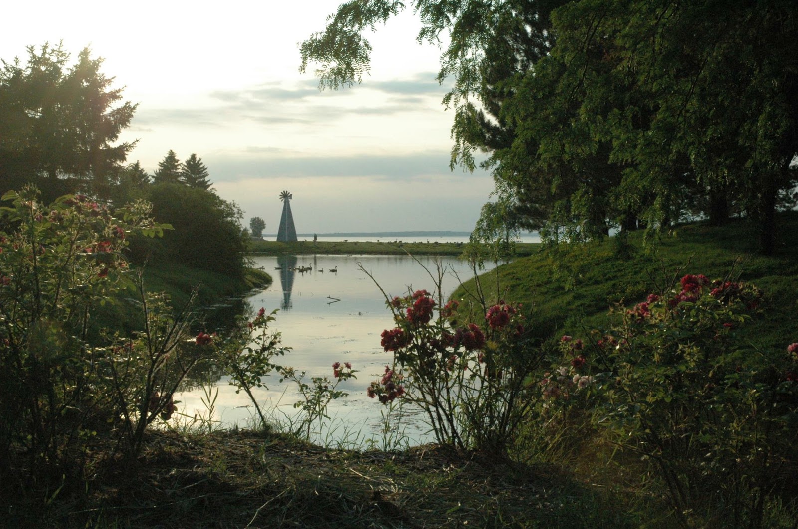 COVID19 and your pet Ottawa reopens parks but not offleash dog