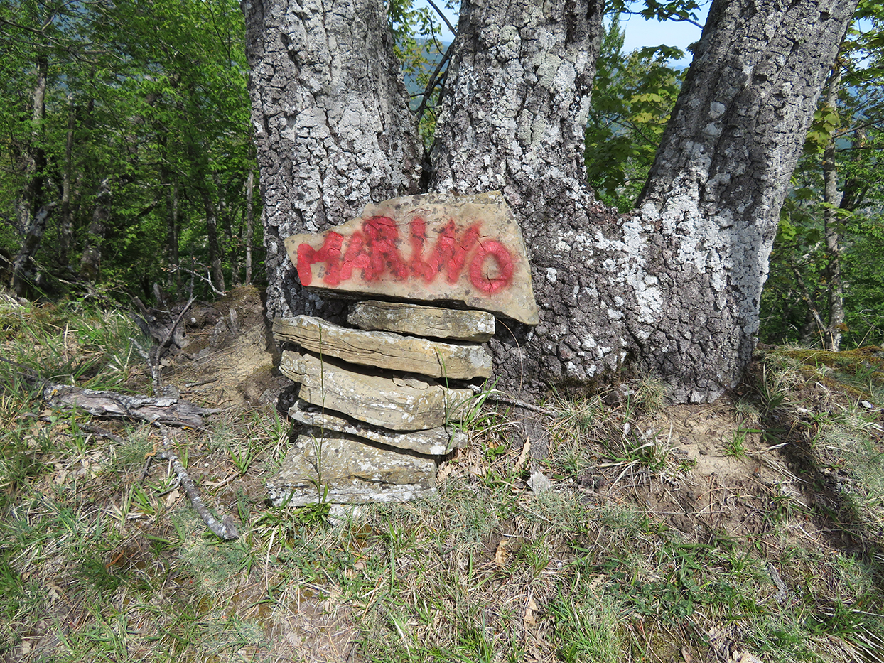 Escursionismo a 360° Monte Marino (EE)