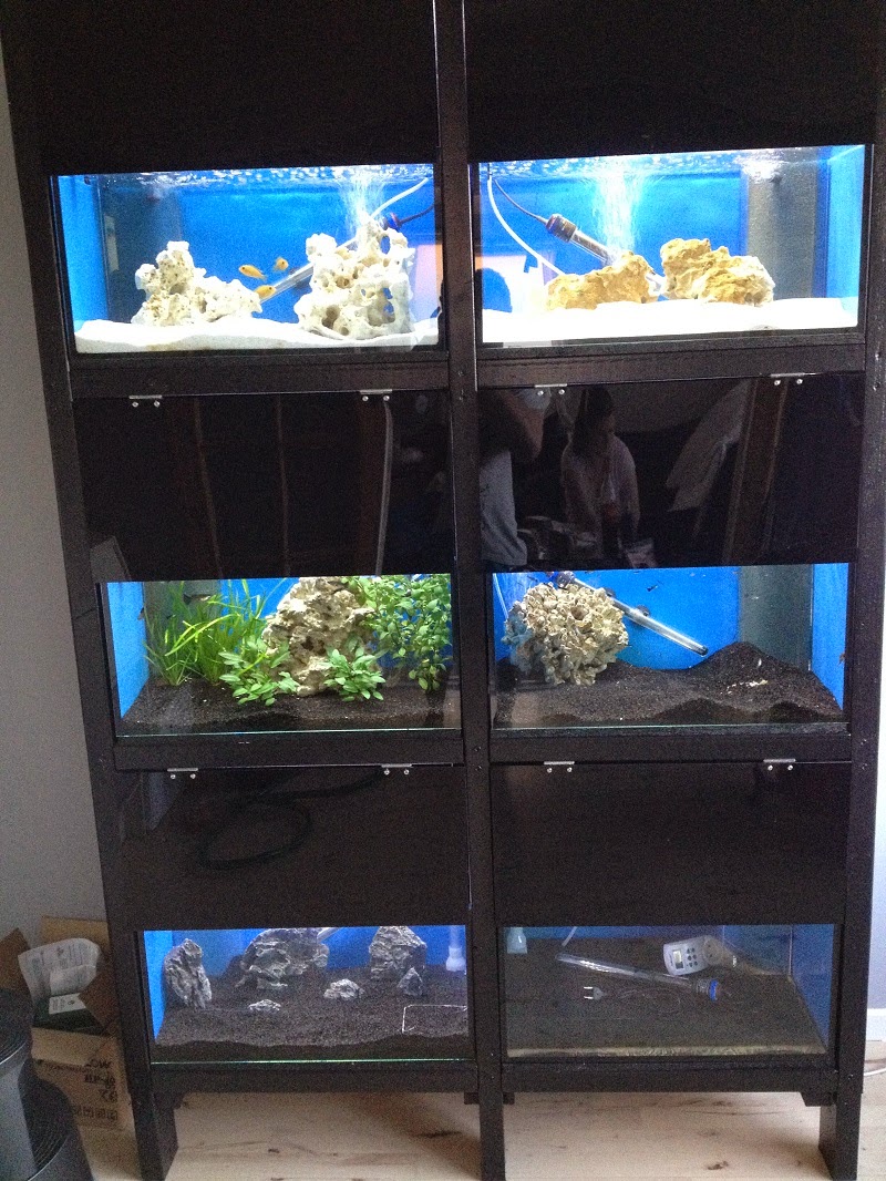 Melanders Aquarium Aquarium Rack, Danish Improvements)