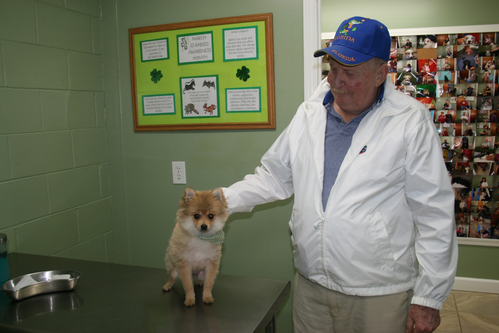 Animal Hospital of Walnut Cove