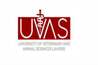 Latest University of Veterinary and Animal Sciences UVAS Education Posts Lahore 2022