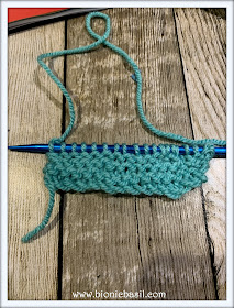 The P.A.'s Furst Knitting Adventure ©BionicBasil® The Pet Parade 323