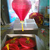 Lampion Alading Dgn Rumbai, 30cm x 45cm