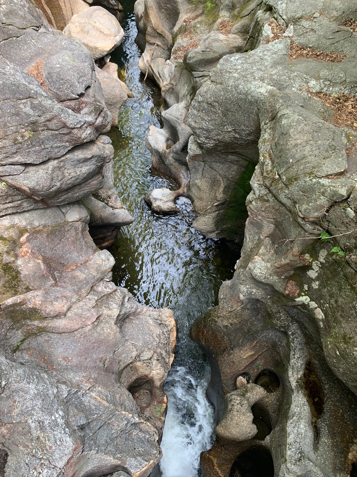 Mowglis Mountain And Sculptured Rocks Via Carter Gibbs Oregon Mountain Elwell Mowglis Trail Jcxc
