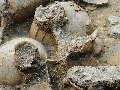 Over 120 ancient wine jars found at Tel Kabri