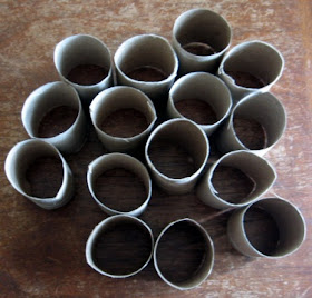 toilet paper tube seed starter pots