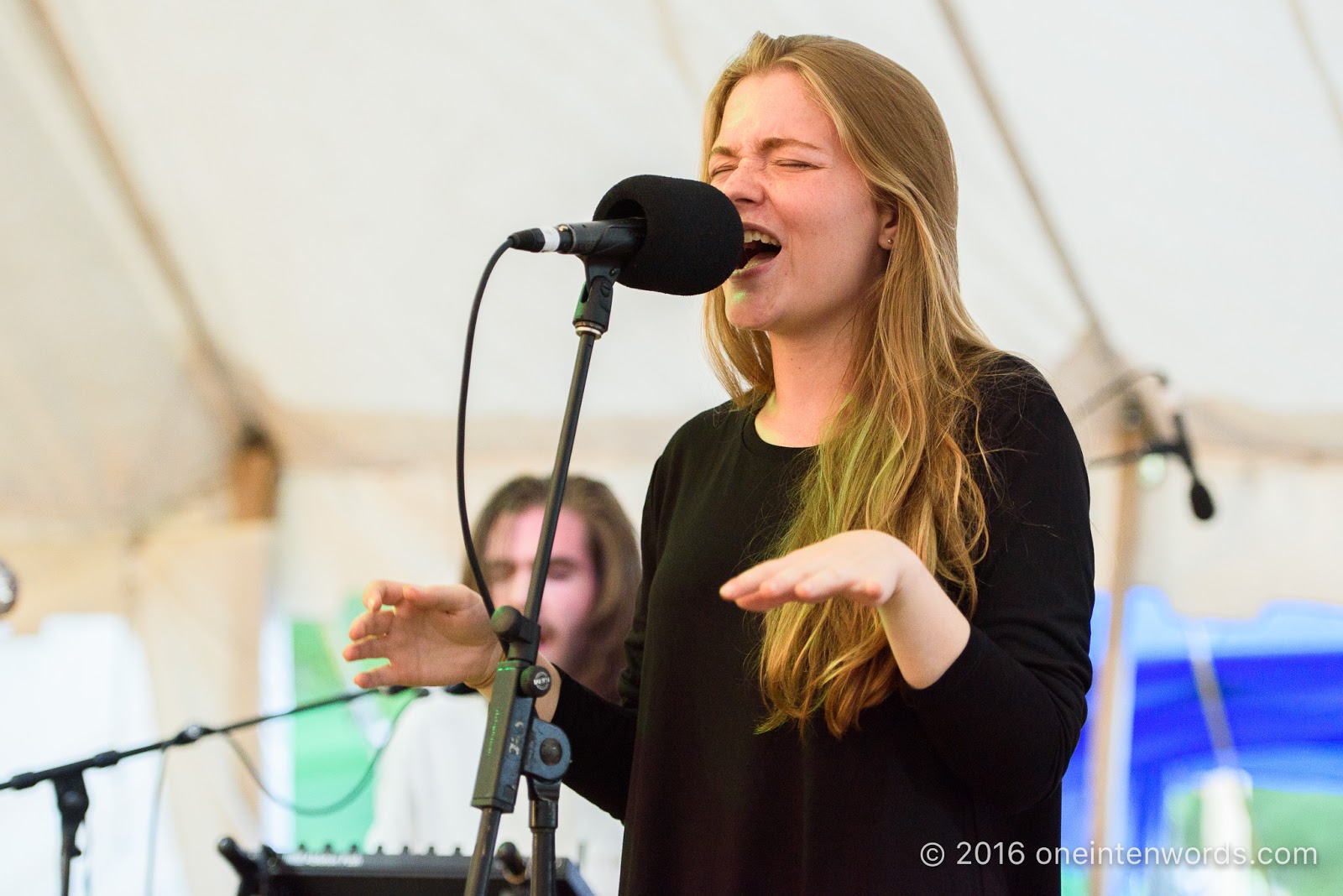 one ten words hillside festival 2016 dizzy concert one ten words hillside festival 2016 dizzy concert