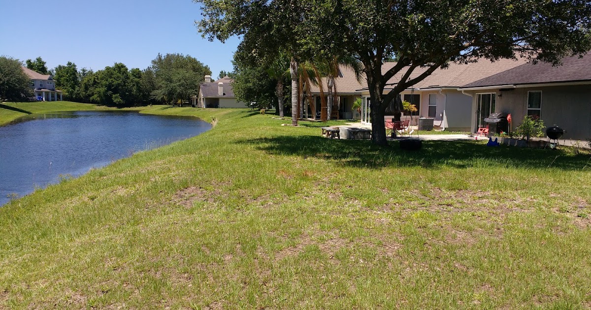 New Jax Witty Northeast Florida Real Estate Agents What You're Missing