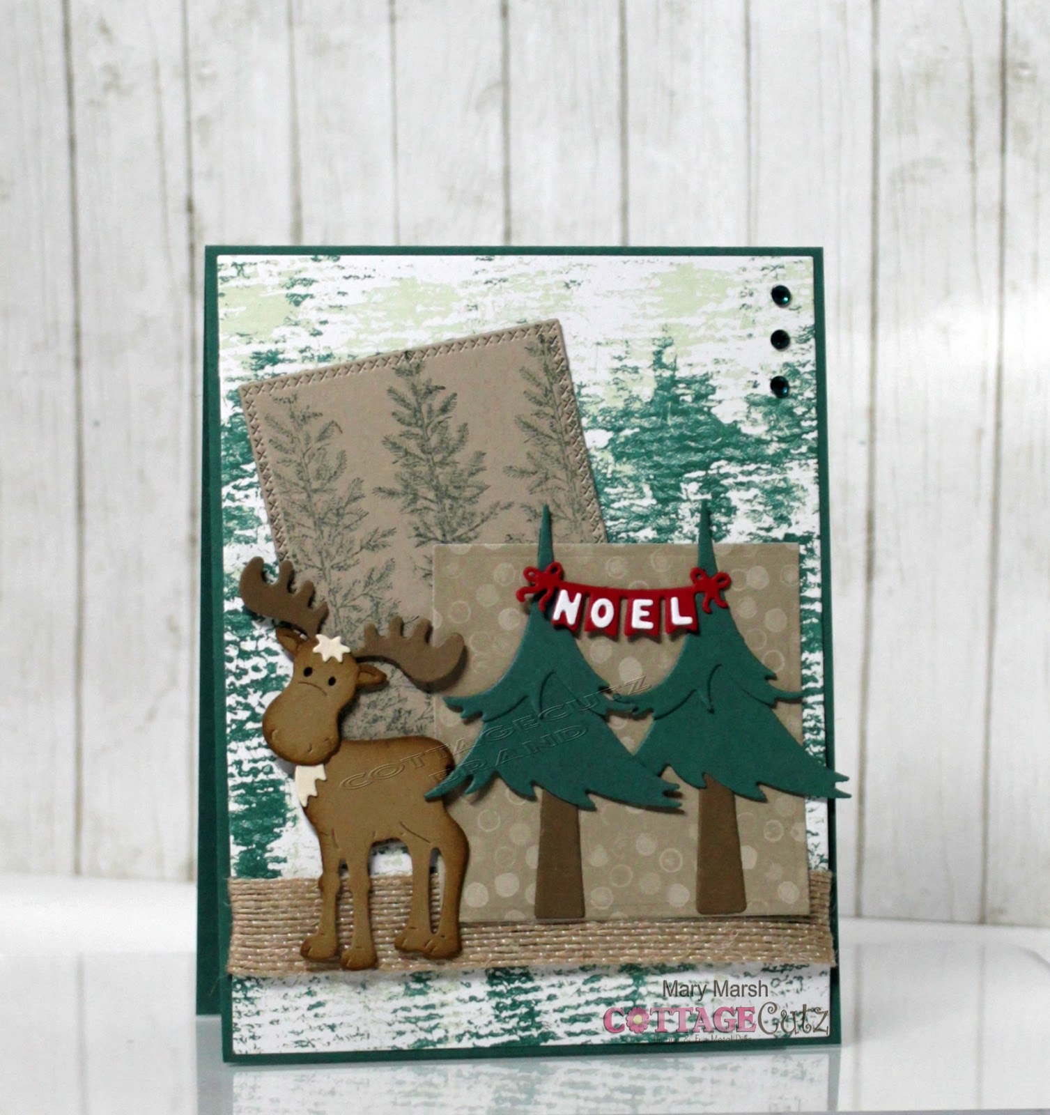The Charmed Life: Moose in Forest
