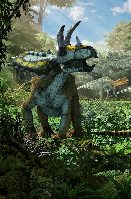 Diorama detail, Coahuilaceratops