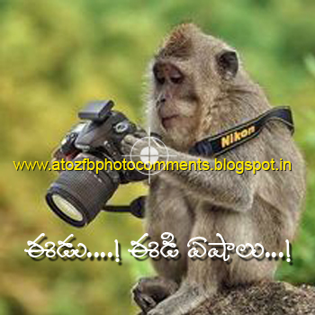 monkey fb funny comment pic in telugu ~ FACEBOOK PHOTO COMMENTS