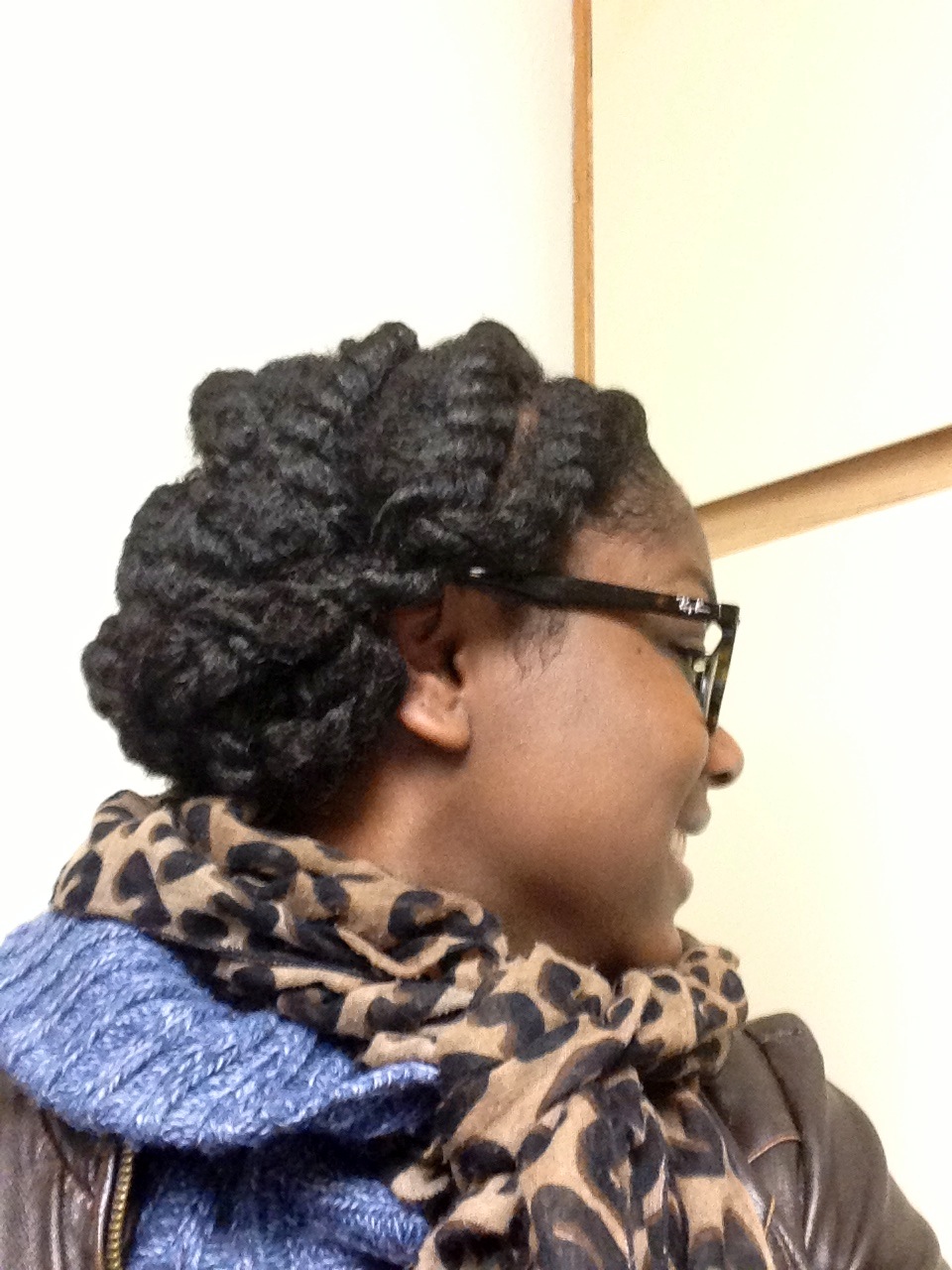 Protective Style Side Flat Twists Tips Hairstyle