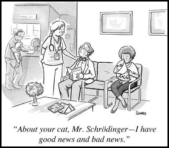 funny-Schrodinger-hospital-waiting-room-joke.jpg
