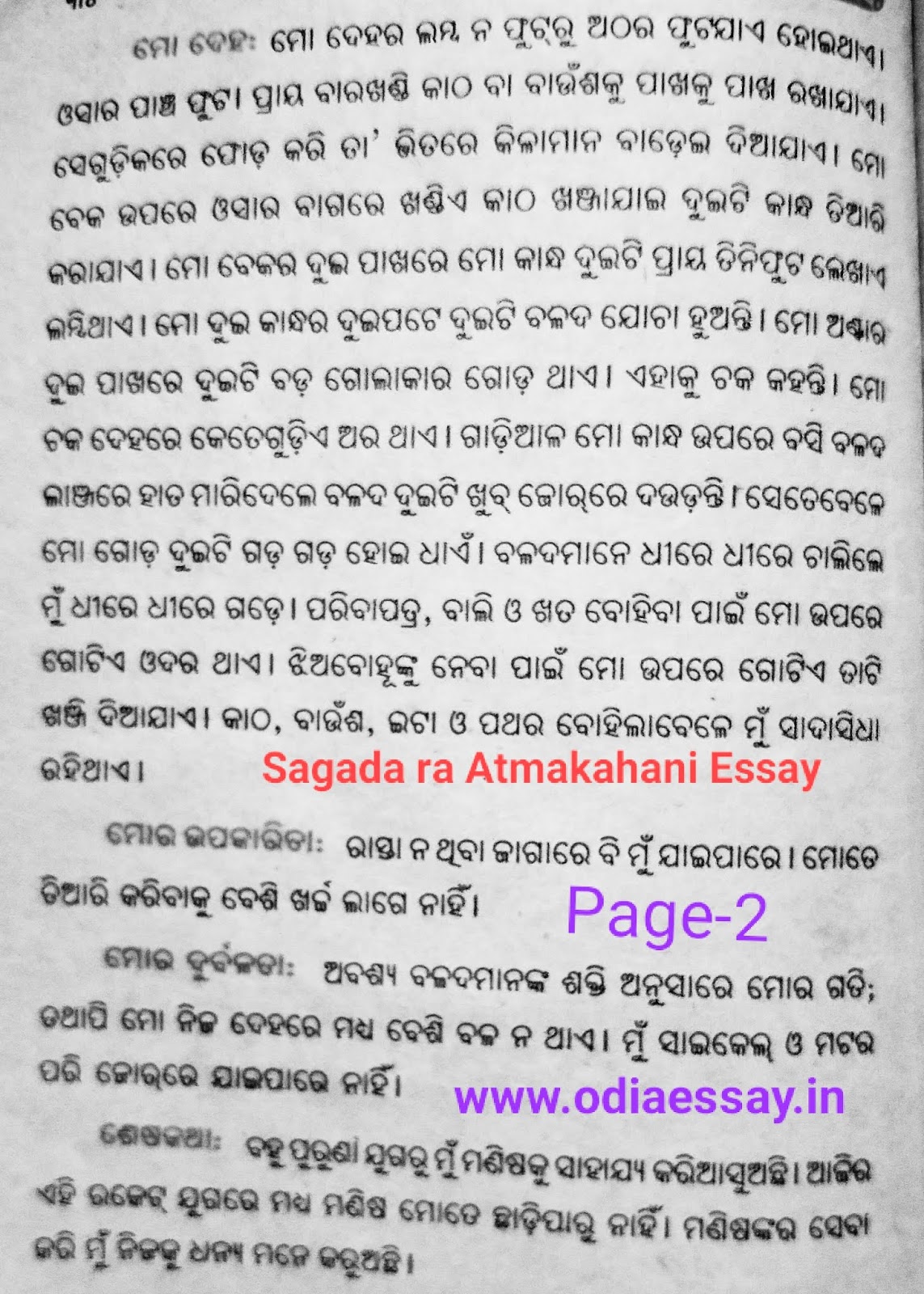 Sagada meaning picture